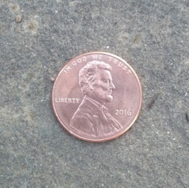 16-penny